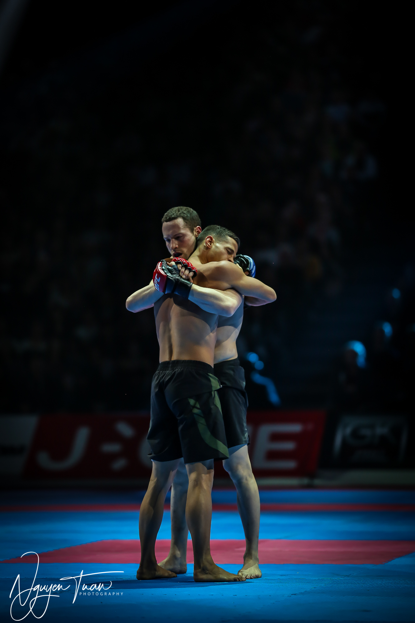 20190324 Festival des Arts Martiaux 5213